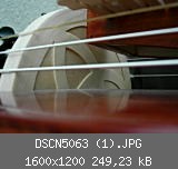 DSCN5063 (1).JPG